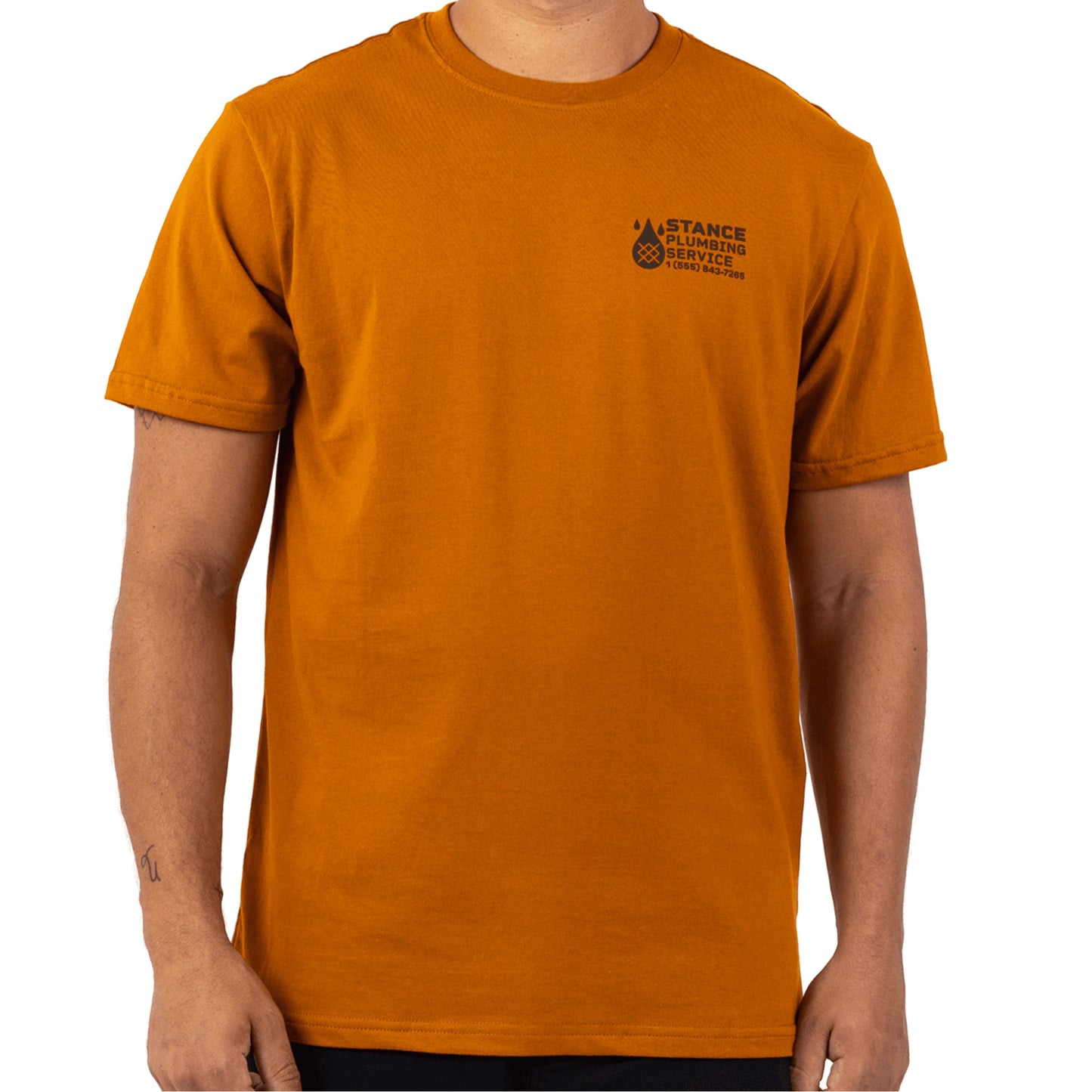 Stance Classified T-Shirt Spice |model