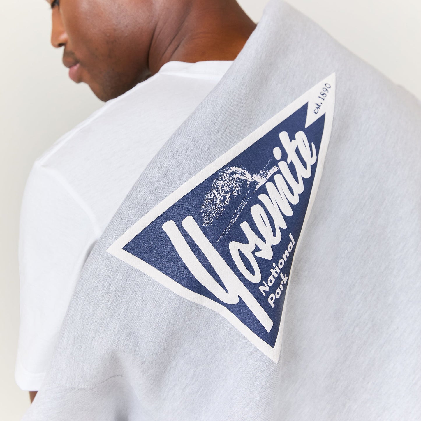 Stance National Parks Crewneck Heather Grey |model