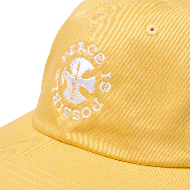 Stance STANDARD ADJUSTABLE CAP Yellow