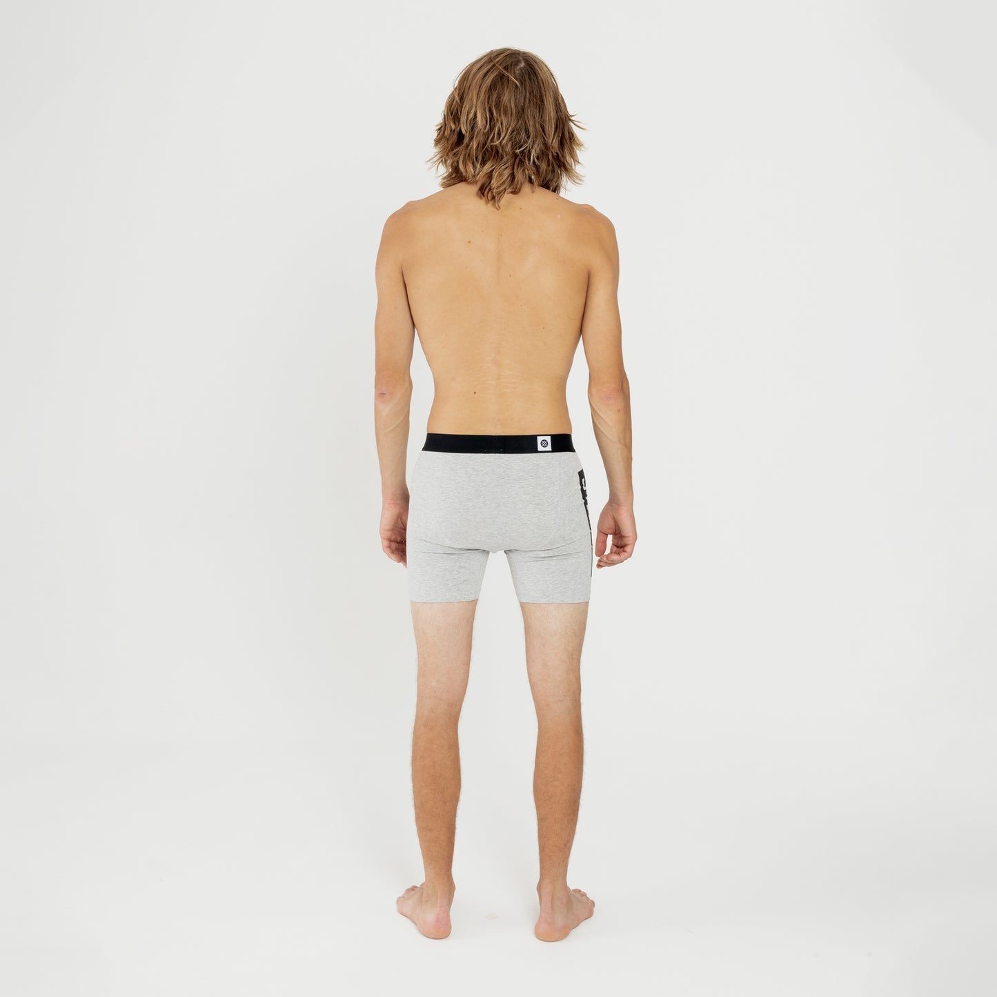 Stance OG BOXER BRIEF Heather Grey