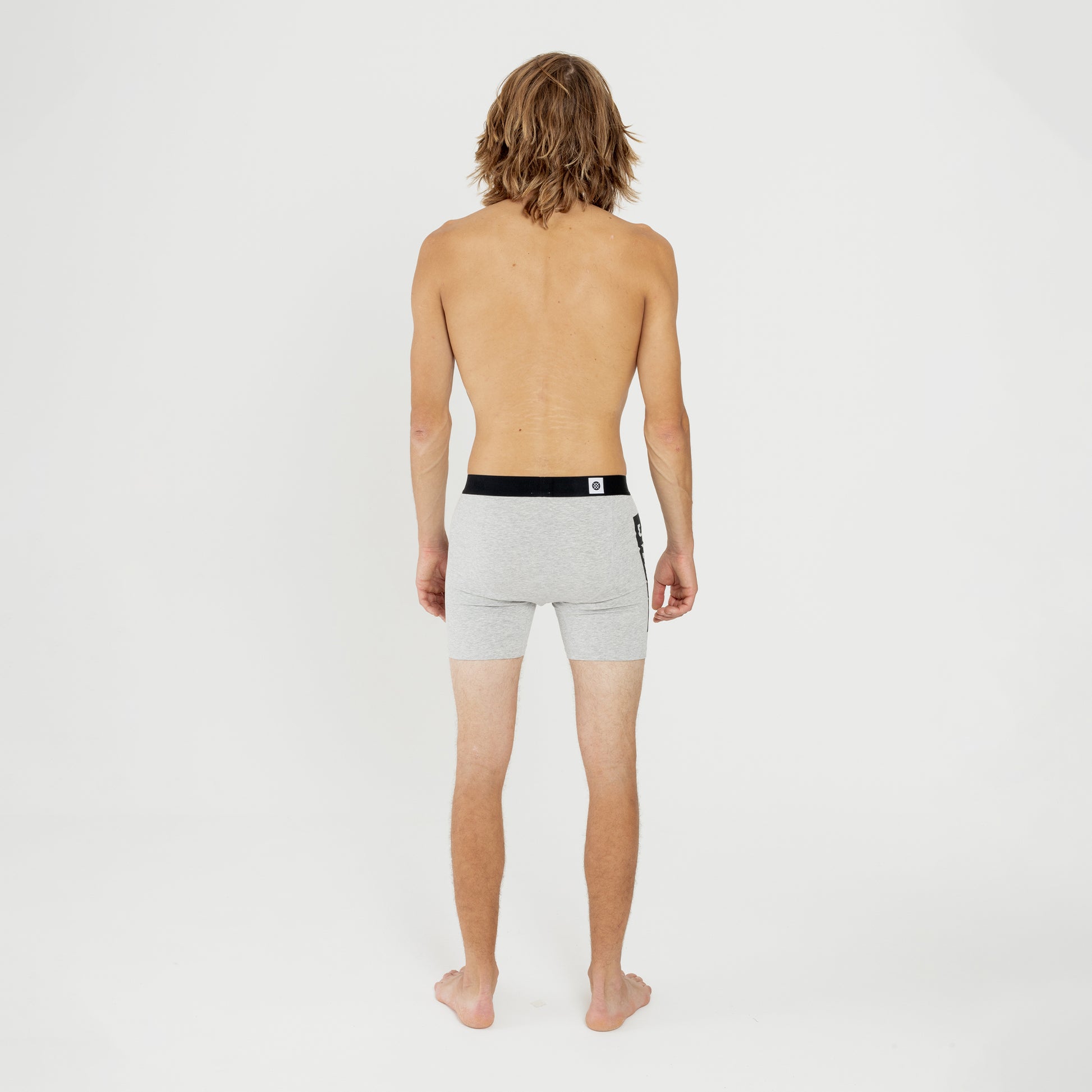 Stance OG BOXER BRIEF Heather Grey