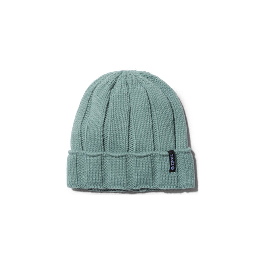 Stance Pier Beanie Teal