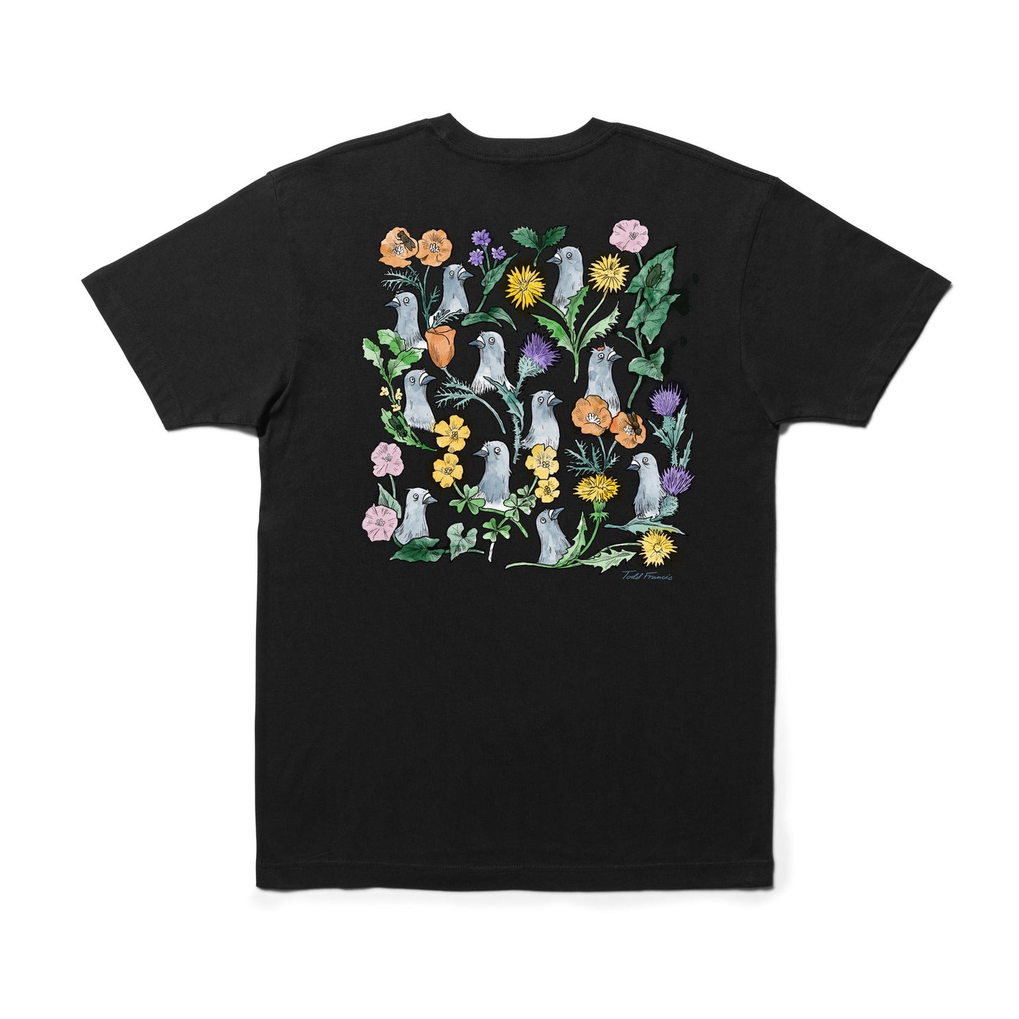 Stance Pigeon Street T-Shirt Black