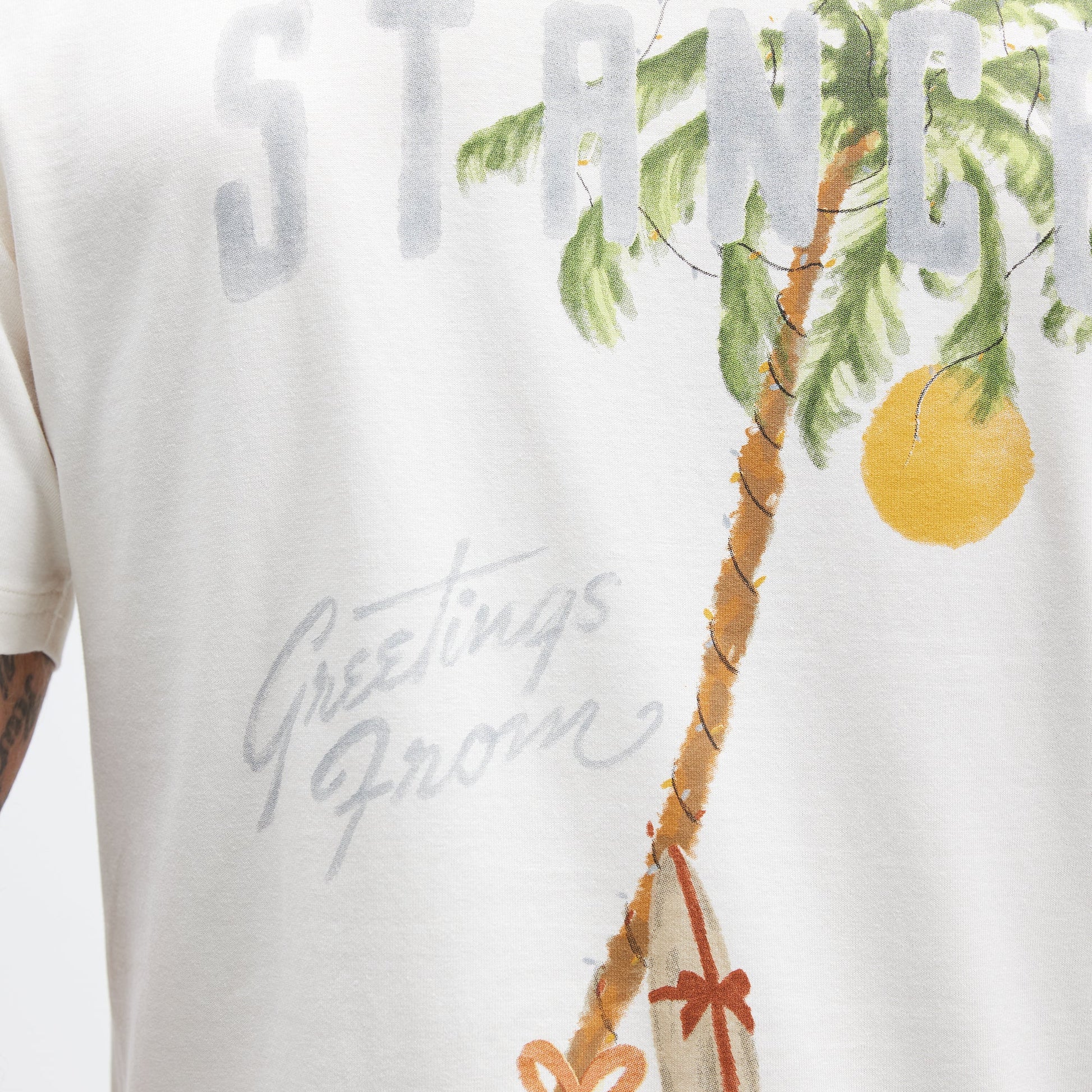 Stance Greetings From T-Shirt Vintage White |model