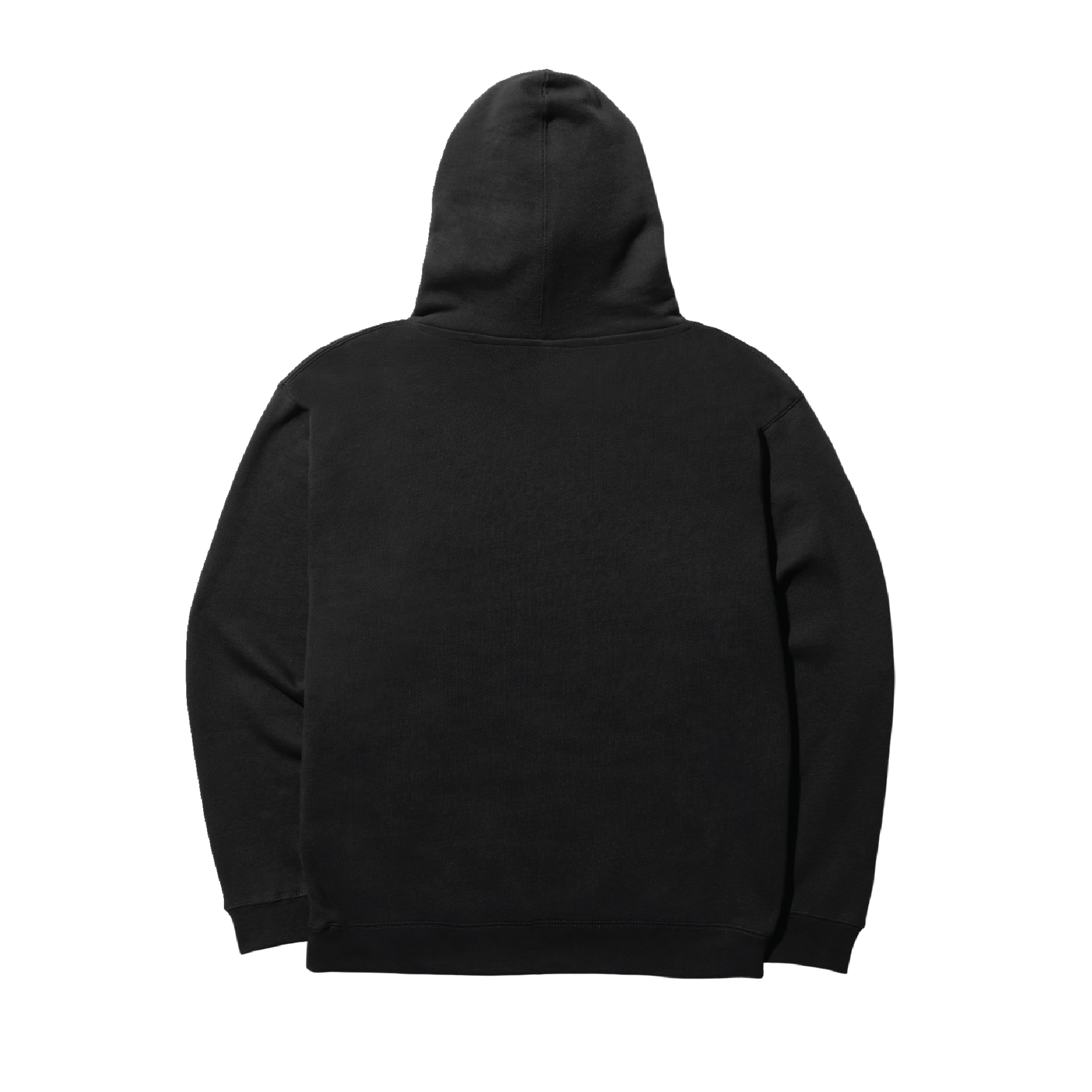 Stance Winged Hoodie Black