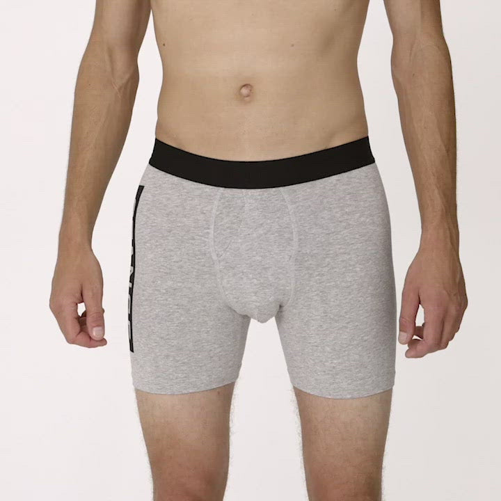 Stance OG BOXER BRIEF Heather Grey