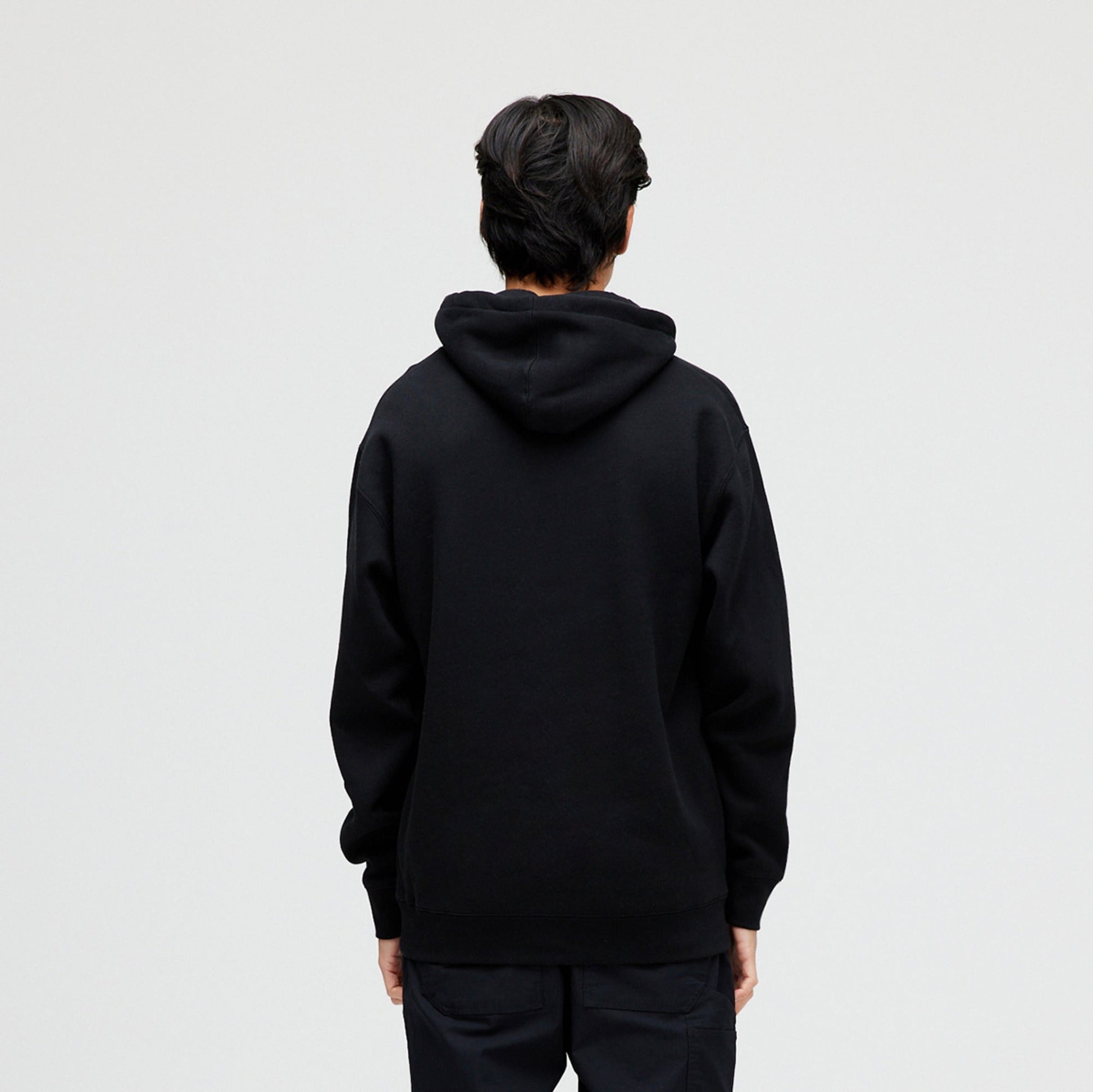 Stance Established Hoodie Black |model